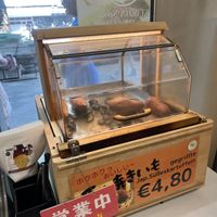   at Shochiku in Dusseldorf