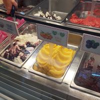Vegan labels at SANI Gelato in Prague