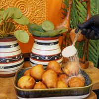  at Klein Afrika in Dordrecht