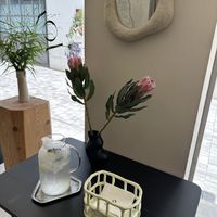 Australian Banksias  at ARP - 아르프 in Busan