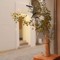 Beautiful ambiance   at ARP - 아르프 in Busan