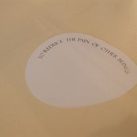 🩷  at ARP - 아르프 in Busan