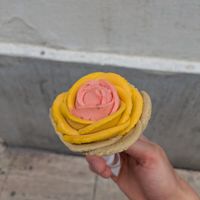 Medium Rose ice cream: 4/5 at Gelarto Rosa Grande - Hercegprímás Utca in Budapest