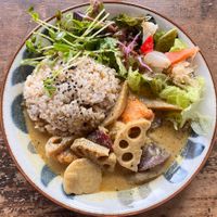 vegan curry lunch at mobile in Tsuruta