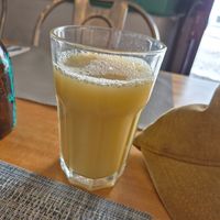 Sumo de maçã de kiwi at PREC - Processo Regenerativo em Curso in Mertola