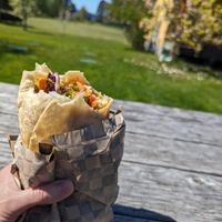 Peanut pepper wrap with bell peppers left out and celery added. at Vortex Juice Bar and Cafe in Lopez Island