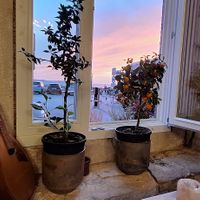 Interior at PiranArt Restaurant & Gelateria & Caffeteria in Piran