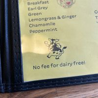   at Jungle Electric in East London