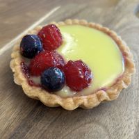   at Jungle Electric in East London