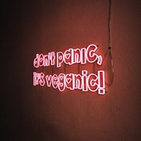  at RAZZO Vegan Pizza Bar in Cologne