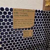  at Zirael Vegan Restaurant in Kyoto