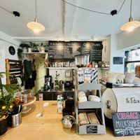   at Zappa's in Totnes