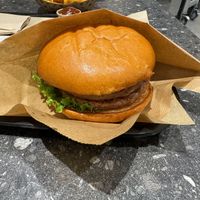 'Beyond Vincent'.  at VINCENT - The Playce in Berlin