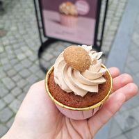  at Mayple, Golden Cakes- Maastricht in Maastricht