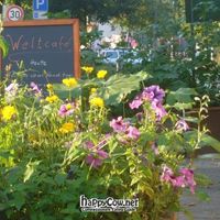  at Weltcafe Dresden in Dresden