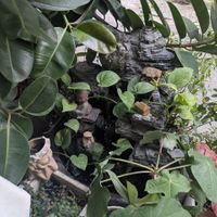  at Heal & Celeb Vegan Restaurant in Ho Chi Minh City