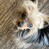   at Hay Amor in Maldonado