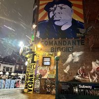   at Slutty Vegan in Brooklyn