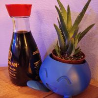  at Modoki Funky Roll in Barcelona