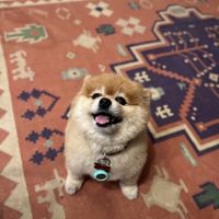   at The Vegan Shack in Panama City