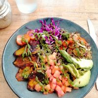  at The Vegan Shack in Panama City