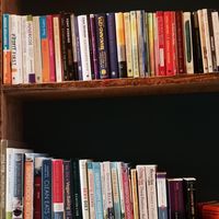  at The Vegan Shack in Panama City