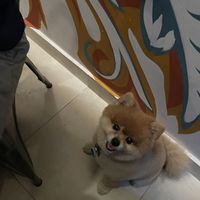   at The Vegan Shack in Panama City