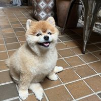   at The Vegan Shack in Panama City