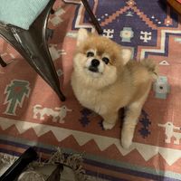   at The Vegan Shack in Panama City