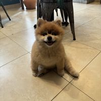   at The Vegan Shack in Panama City