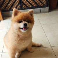  at The Vegan Shack in Panama City