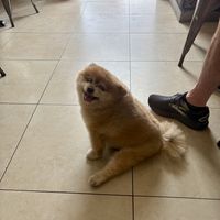   at The Vegan Shack in Panama City