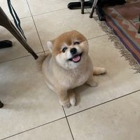   at The Vegan Shack in Panama City