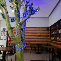 Inside at Green Tree in Lisbon