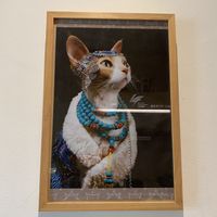   at Hejo Eatery in Bandung