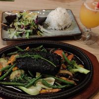  at Vegan Living in Magdeburg