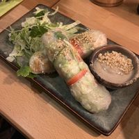 (Big) summer rolls  at Vegan Living in Magdeburg