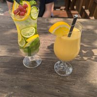  at Vegan Living in Magdeburg