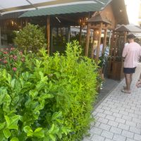   at Vegan Living in Magdeburg