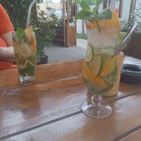  at Vegan Living in Magdeburg