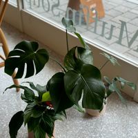  at Ffumz - 퓸즈 in Seoul