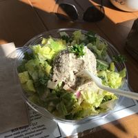 Jackfruit “tuna” salad  at AVO Cafe in Carlsbad