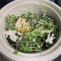   at AVO Cafe in Carlsbad