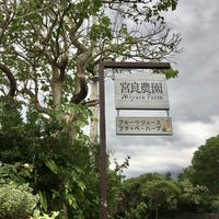   at Miyara Farm - 宮良農園  in Ishigaki