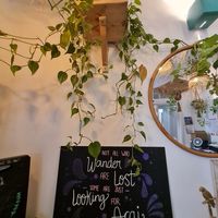 Inside at Very Açai in Rome