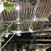 Lighting   at Loving Hut Diệp Lâm Vegan in Ho Chi Minh City