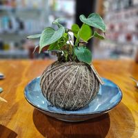  at Hub Court in Cairns