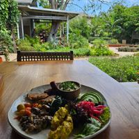 The view at Alchemy - Uluwatu in Ubud