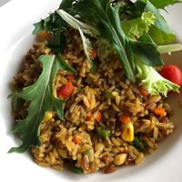 Stir fry brown rice and veg at Real Food 真食 - Orchard in Central Singapore