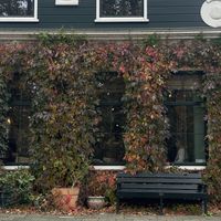   at Liever Hier in Amsterdam